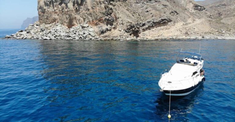 Puerto De Mogan: Boat Trip to See Dolphins and Snorkelling