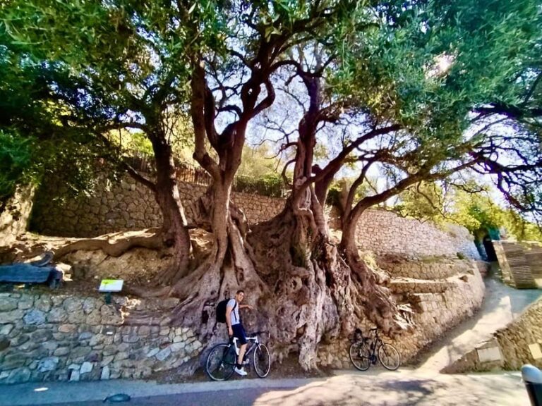 Roquebrune-Village & Grimaldi Castle – Walking Tour