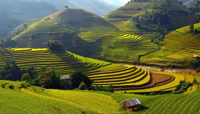 Sa Pa: Muong Hoa Valley Trek and Local Ethnic Villages