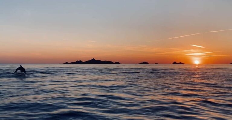 Sagone/Cargèse: Scandola Piana Sunset Aperitif Snorkeling
