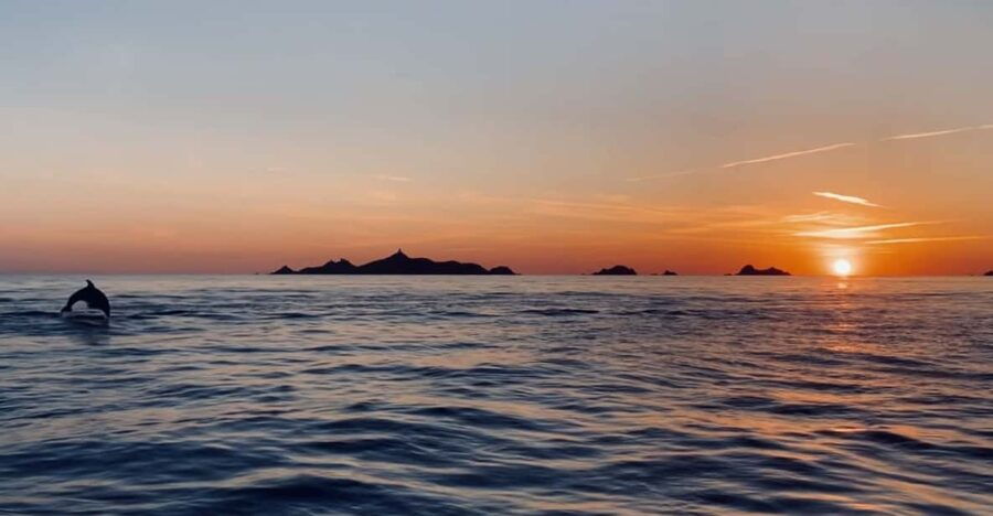 Sagone/Cargèse: Scandola Piana Sunset Aperitif Snorkeling - Activity Overview