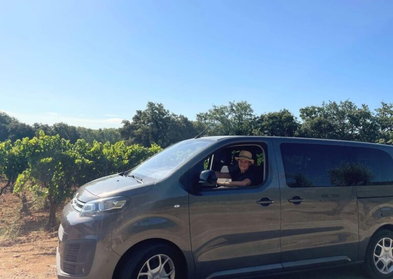 Saint-Tropez: Small Group Wine Tour