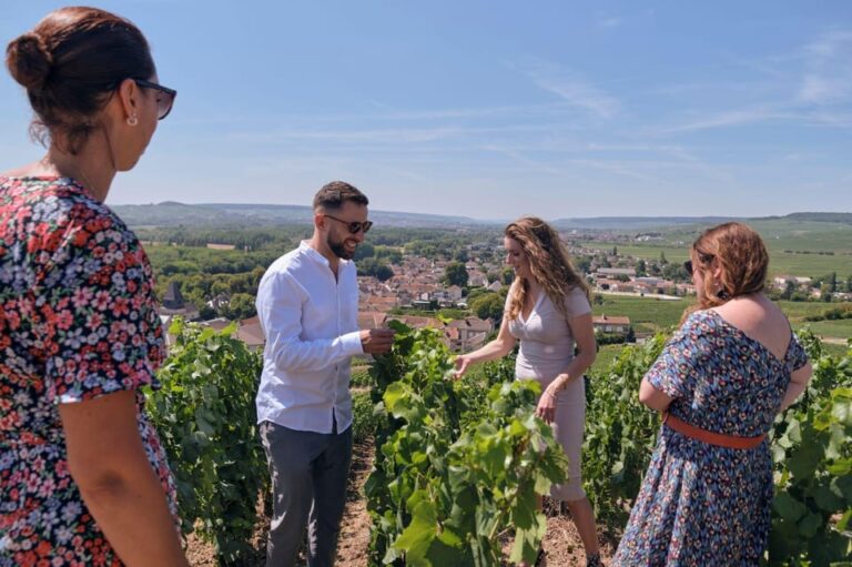 Short Day Family Growers & Traditional Lunch From Reims