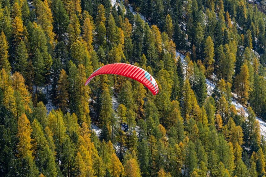 St Moritz: Tandem Paragliding Flights - Pilot and Equipment