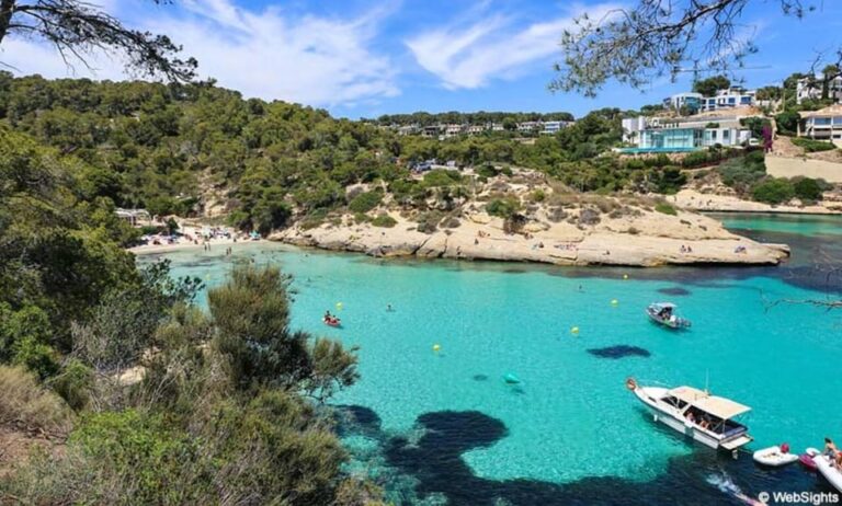SUP & Snorkel Experience: Beach / Cave of Portal Vells