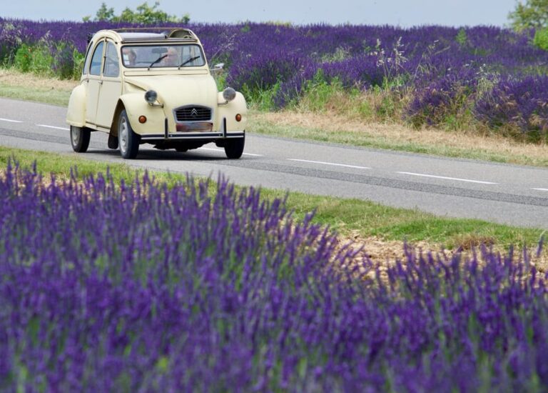 The Best of Provence: 4-Day Tour