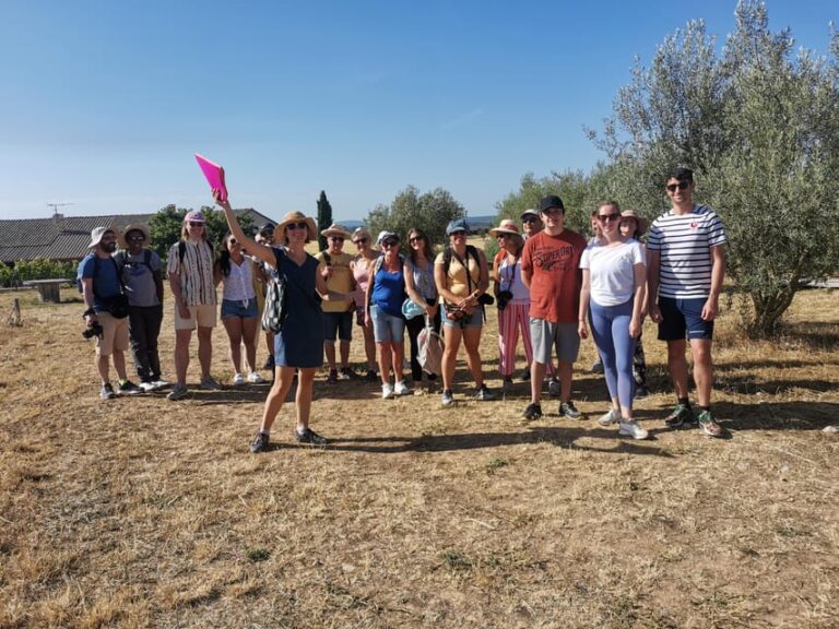 Valensole: Visit of a Winery and Lavender Farm