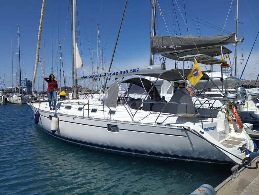 3h Whale Watching Private Tour Beneteau Oceanis 440 - Tour Overview