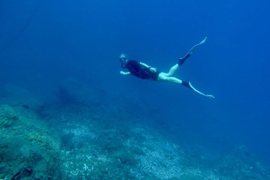 Abades: Guided Snorkeling Tour With Photos - Tour Overview