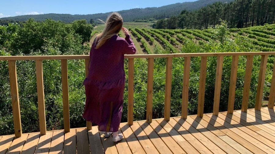 Albariño Wine Tour: Taste, Learn & Take Home a Special Gift - Tour Overview