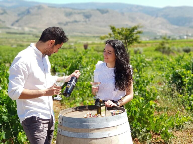 Alpujarra: Wine Tour and Vegan Aperitif in Organic Winery