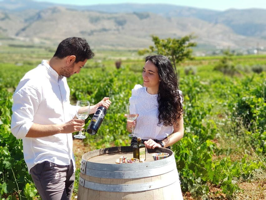 Alpujarra: Wine Tour and Vegan Aperitif in Organic Winery - Overview of the Wine Tour and Vegan Aperitif