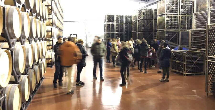 Aranda De Duero: Martín Berdugo Winery - Tour and Tasting - Tour Schedule and Availability