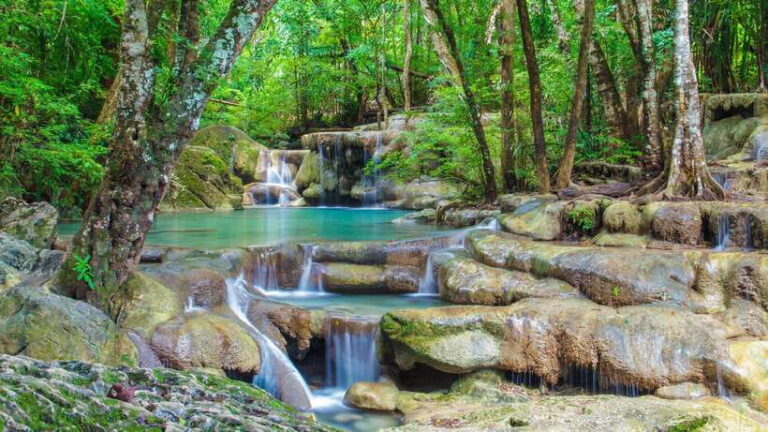 Bangkok: Elephants World & Erawan Waterfall in Kanchanaburi