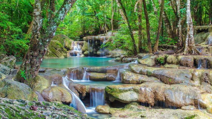 Bangkok: Elephants World & Erawan Waterfall in Kanchanaburi - Overview and Pricing