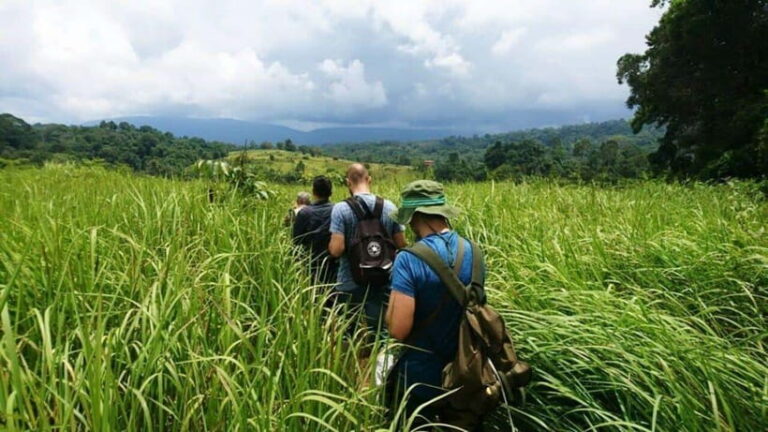 Bangkok: Khao Yai Nature Trails & Heaw Suwat Waterfall