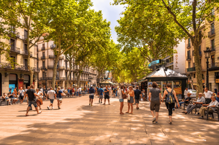 Barcelona: Bike Tour With Local Private Guide