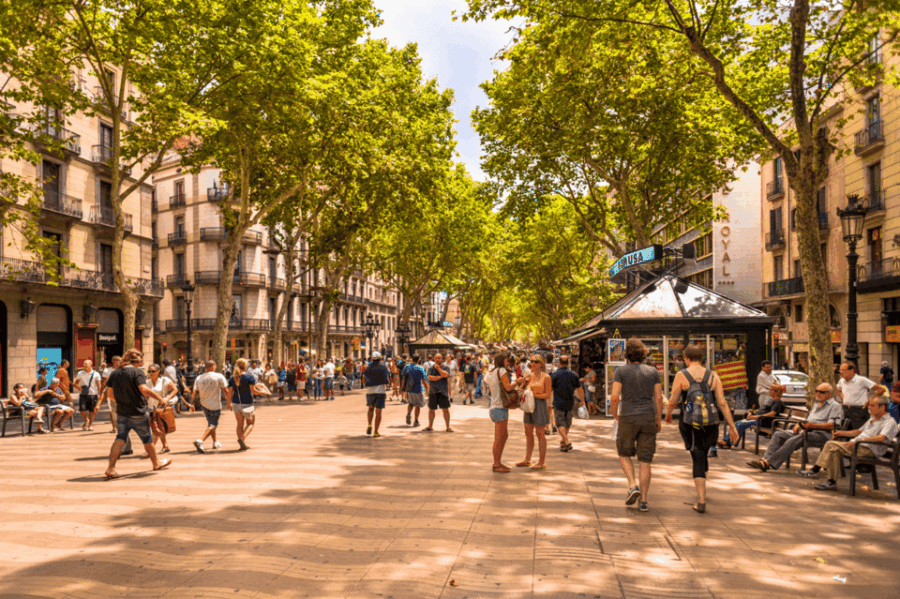 Barcelona: Bike Tour With Local Private Guide - Tour Overview