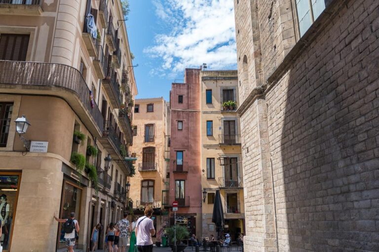 Barcelona Guided Tour in French