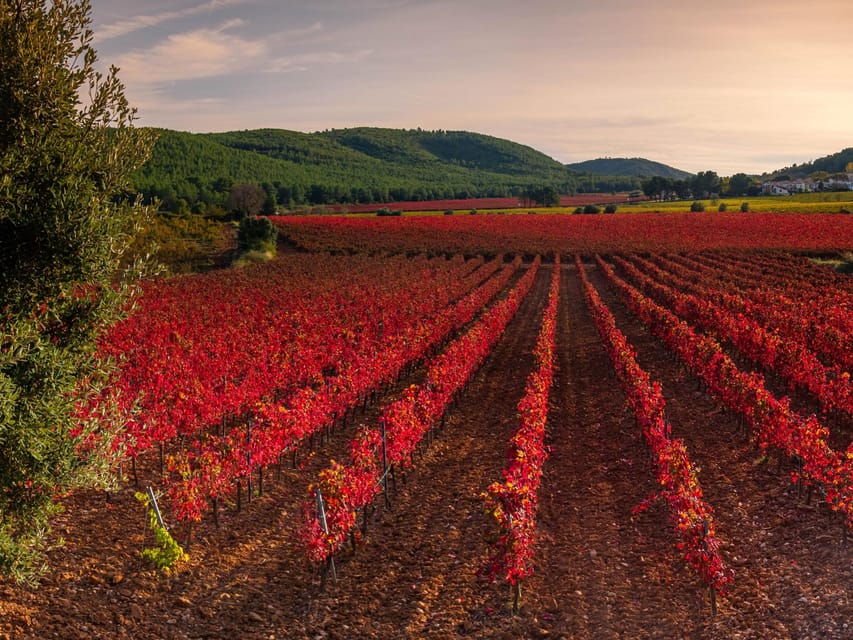 Barcelona: Luxury Tour, 4X4 Off-Road, Lunch & Wines at Penedes - Tour Overview and Pricing