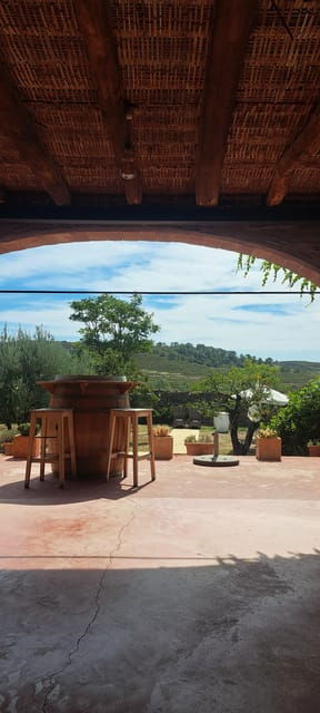 Barcelona: Penedès Vineyard Horseback Ride With Wine Tasting