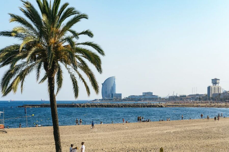Barcelona: Sagrada Familia or City Sights Bike or Ebike Tour - Tour Overview and Pricing