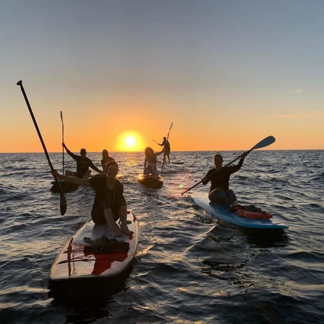Barcelona: Sunrise & Sunset Paddle Surf Experience - Activity Overview