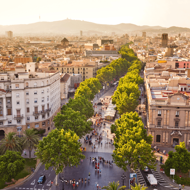 Barcelona: Walking Tour of the Gothic Quarter and Boat Ride