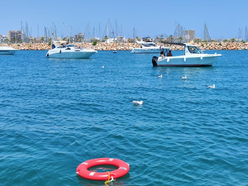 Boat Ride and Bathing in the Sea - Activity Overview
