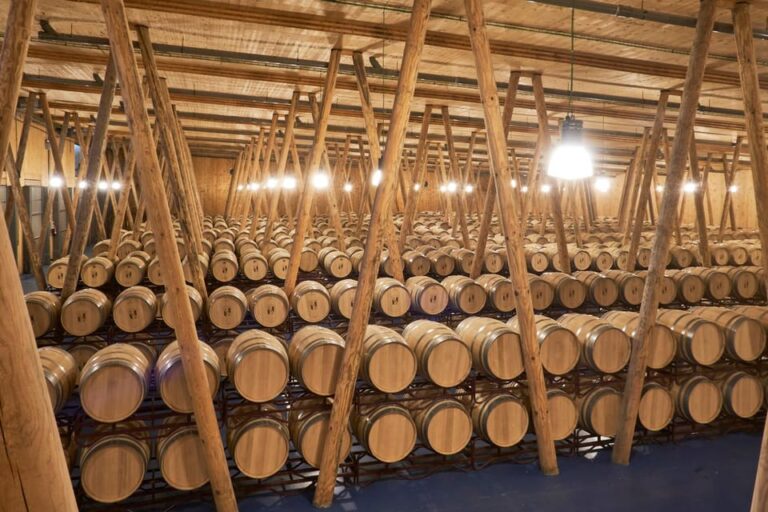 Burgos: Bela Winery – Villalba De Duero