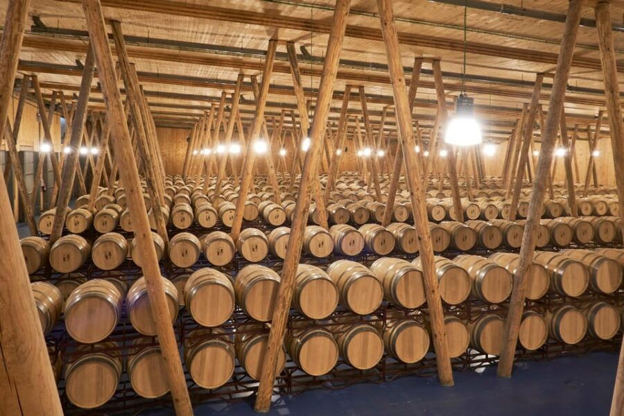 Burgos: Bela Winery - Villalba De Duero - Winery Overview