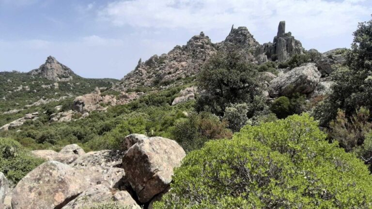 Cagliari: Hiking on the Deers Trail in Sette Fratelli Park