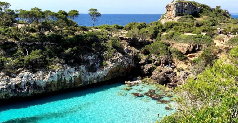 Cala Des Moro / Salmunia Experience Snorkel and SUP