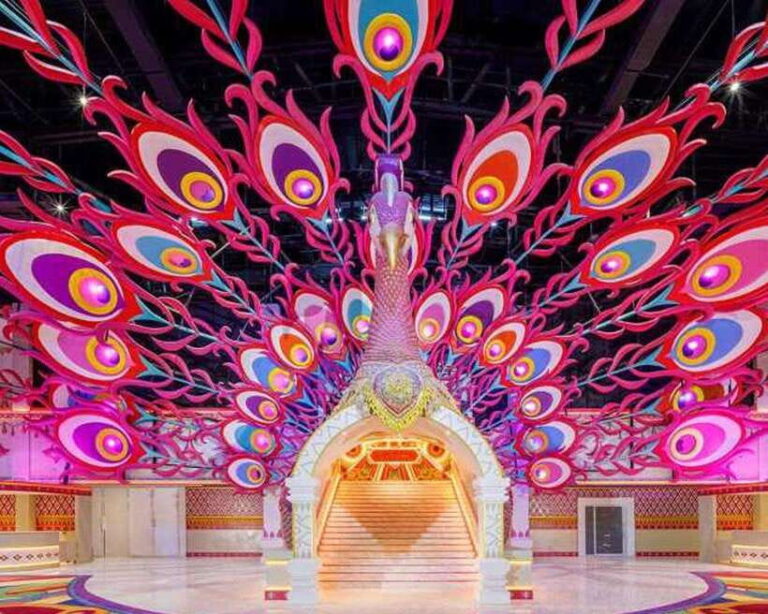Carnival Magic Show With Buffet Dinner