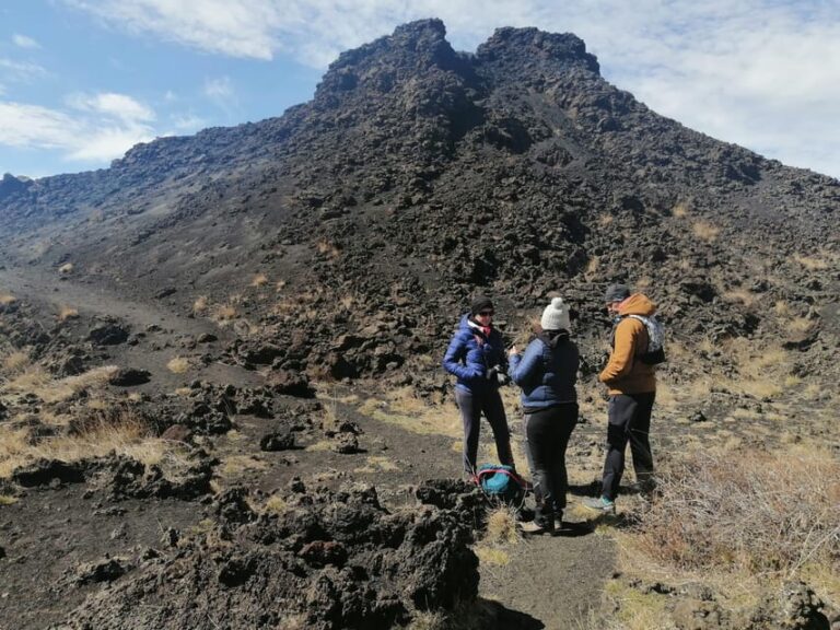 Catania: Mt Etna Winter Edition Half-Day Tour