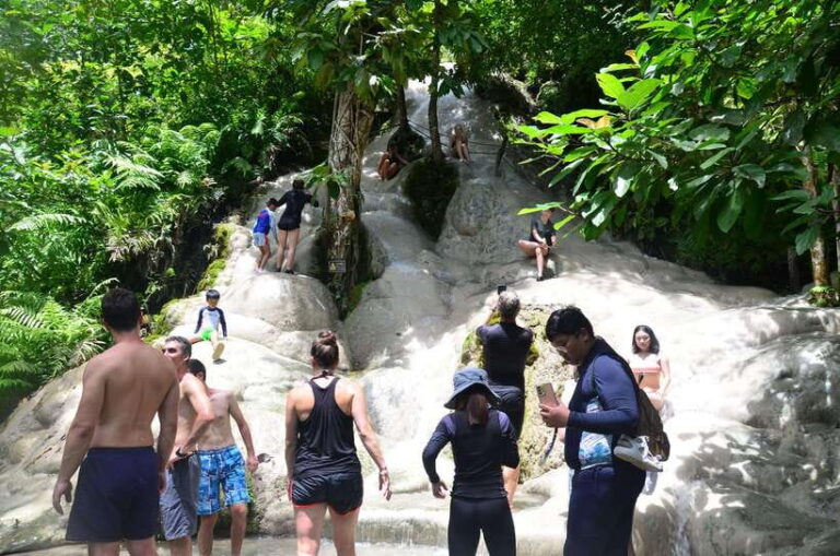Chiang Mai: 4-Hour Sticky Waterfall Private Tour