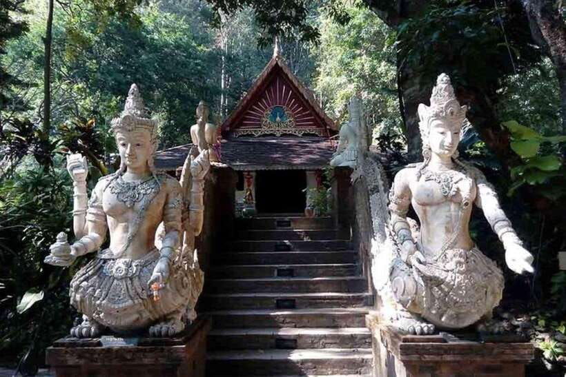 Chiang Mai: Doi Suthep, Orchid Farm and Waterfall With Lunch - Tour Overview