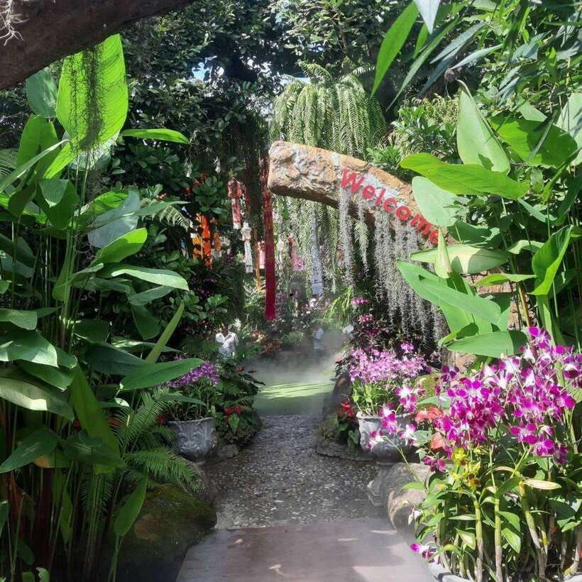 Chiang Rai: Temples Trip With Sang Kaew and Lalitta Cafe - Trip Overview and Pricing