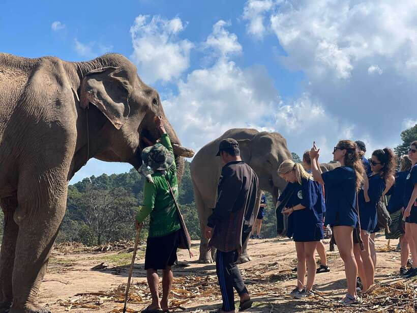 Chiangmai Overnight Trip With Ethical Elephant Santuary - Trip Overview and Details