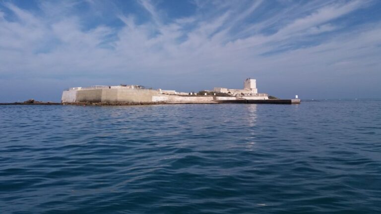 Chiclana De La Frontera: Coast of Sancti Petri Catamaran Tour