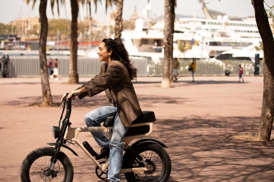 City Highlight Tour on a Luxury (electrical) Fatbike - Itinerary Highlights