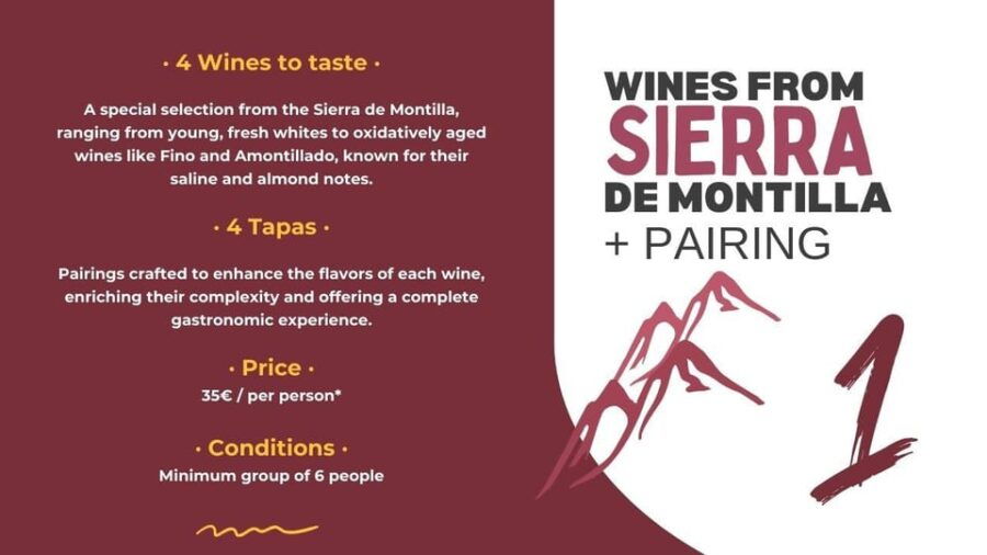 Córdoba: Sierra De Montilla Wine Tasting and Pairing - Overview and Pricing