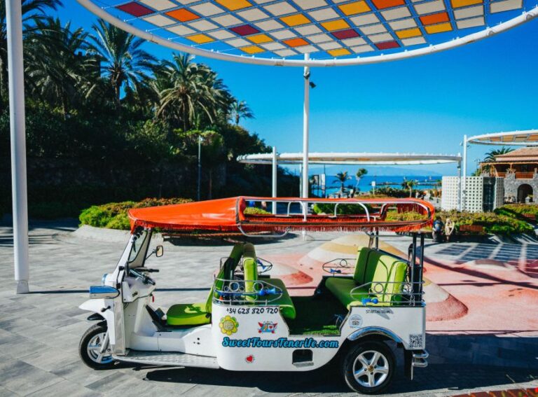 Costa Adeje: Secret Volcano Tuk Tuk Tour