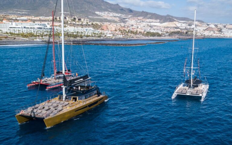 Costa Adeje: Whale Watching Cruise With Snack and Drinks