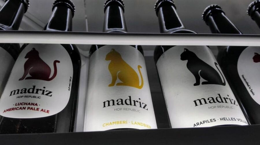 Craft-Beer and Tapas Tour in Madrid - Tour Overview