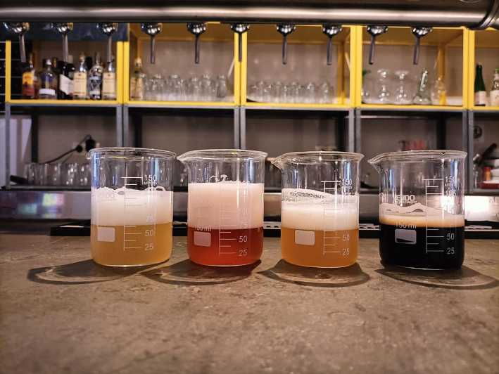 Craft Beer Tasting and Tapas in Valencia