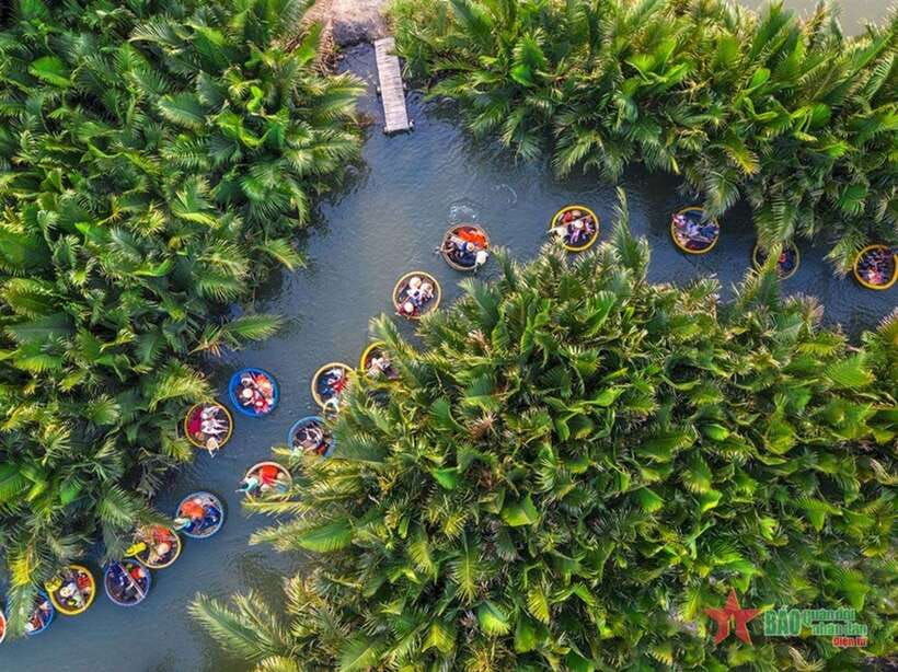 Da Nang: Marble Mountains, Hoi An, and Coconut Forest Tour - Tour Overview