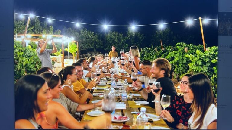 Dinner in the Vineyard and Wine Tasting Under the Stars