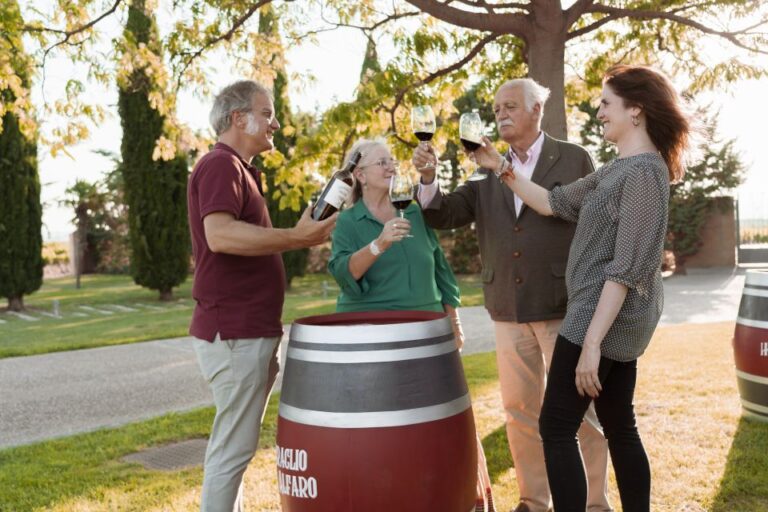 Discover La Rioja: Guided Winery Tour & Wine Tasting