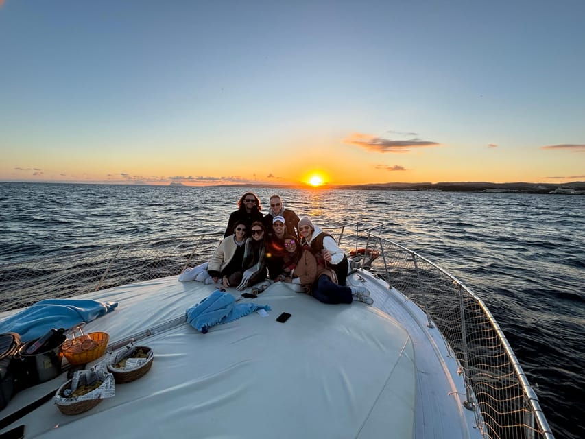Estepona: Dolphins Searching Sea Cruise With Drink & Snacks - Activity Overview